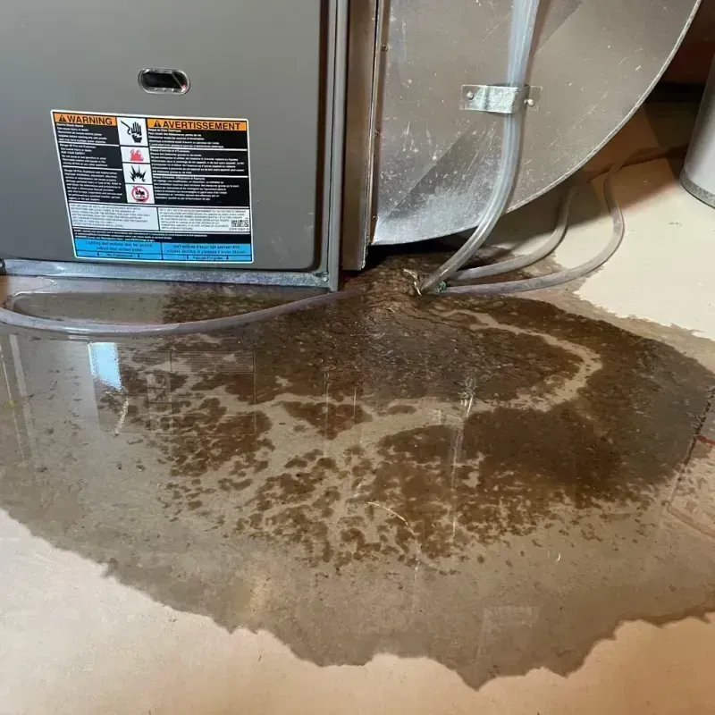 Appliance Leak Cleanup in Frazier Park, CA